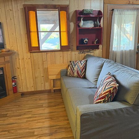 Cozy Cabin Walking Distance To Parkway! พิเจนฟอร์จ ภายนอก รูปภาพ