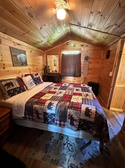 Cozy Cabin Walking Distance To Parkway! พิเจนฟอร์จ ภายนอก รูปภาพ